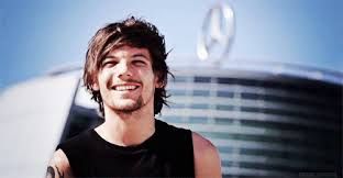 onedirectionlovelouis