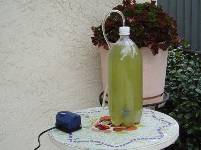 Simple Algae Home CO2 Scrubber - Part 1