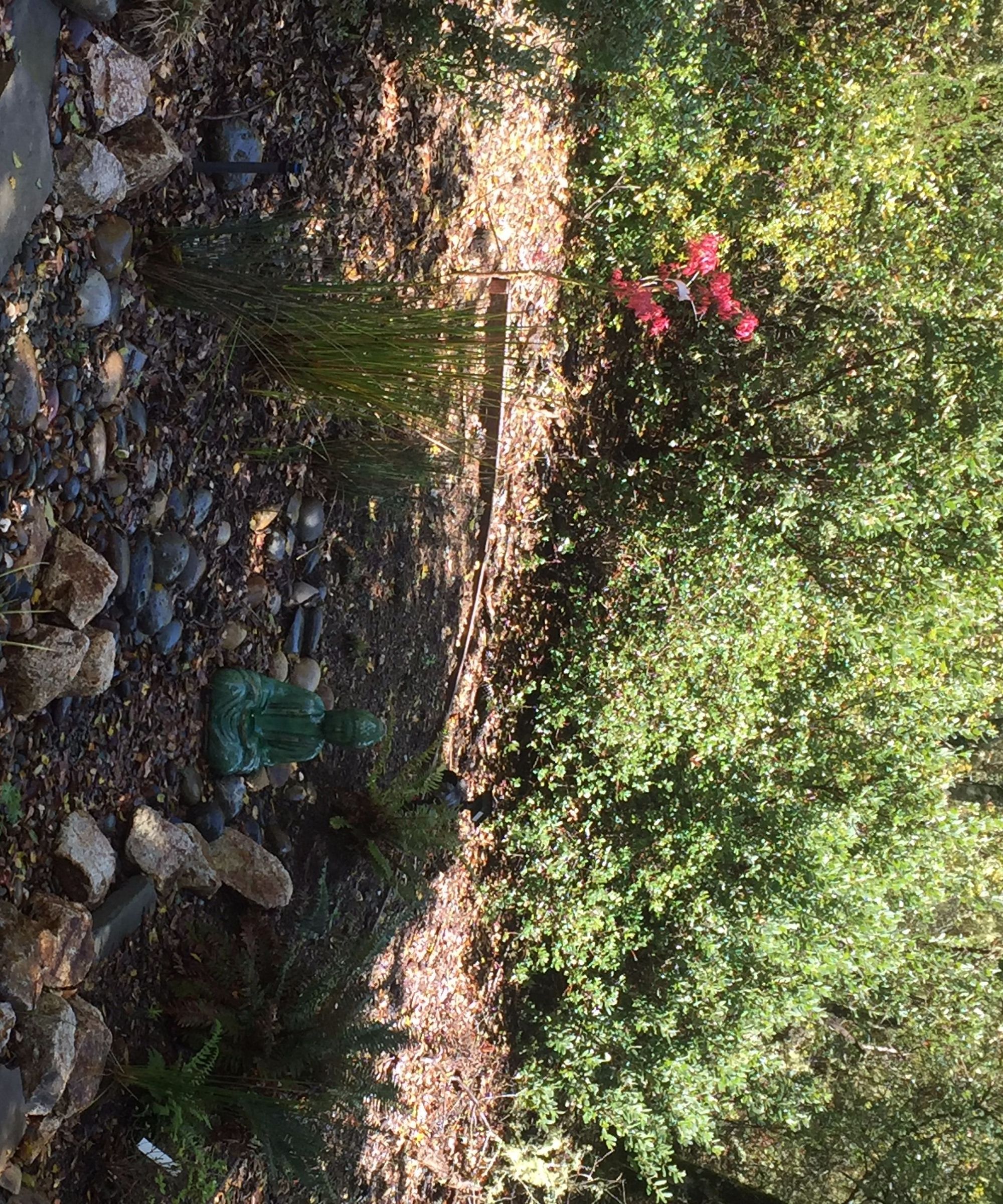 Bioswale AKA Zen Storm Water Garden