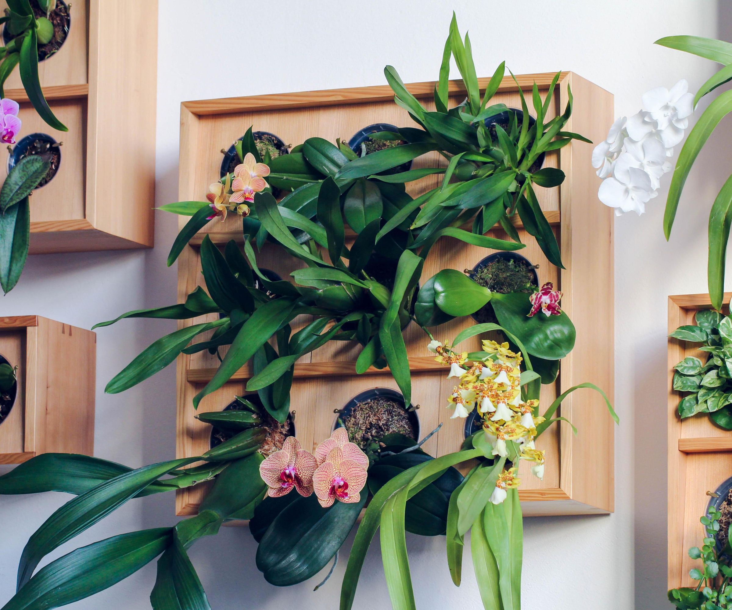 Vertical Orchid Planter