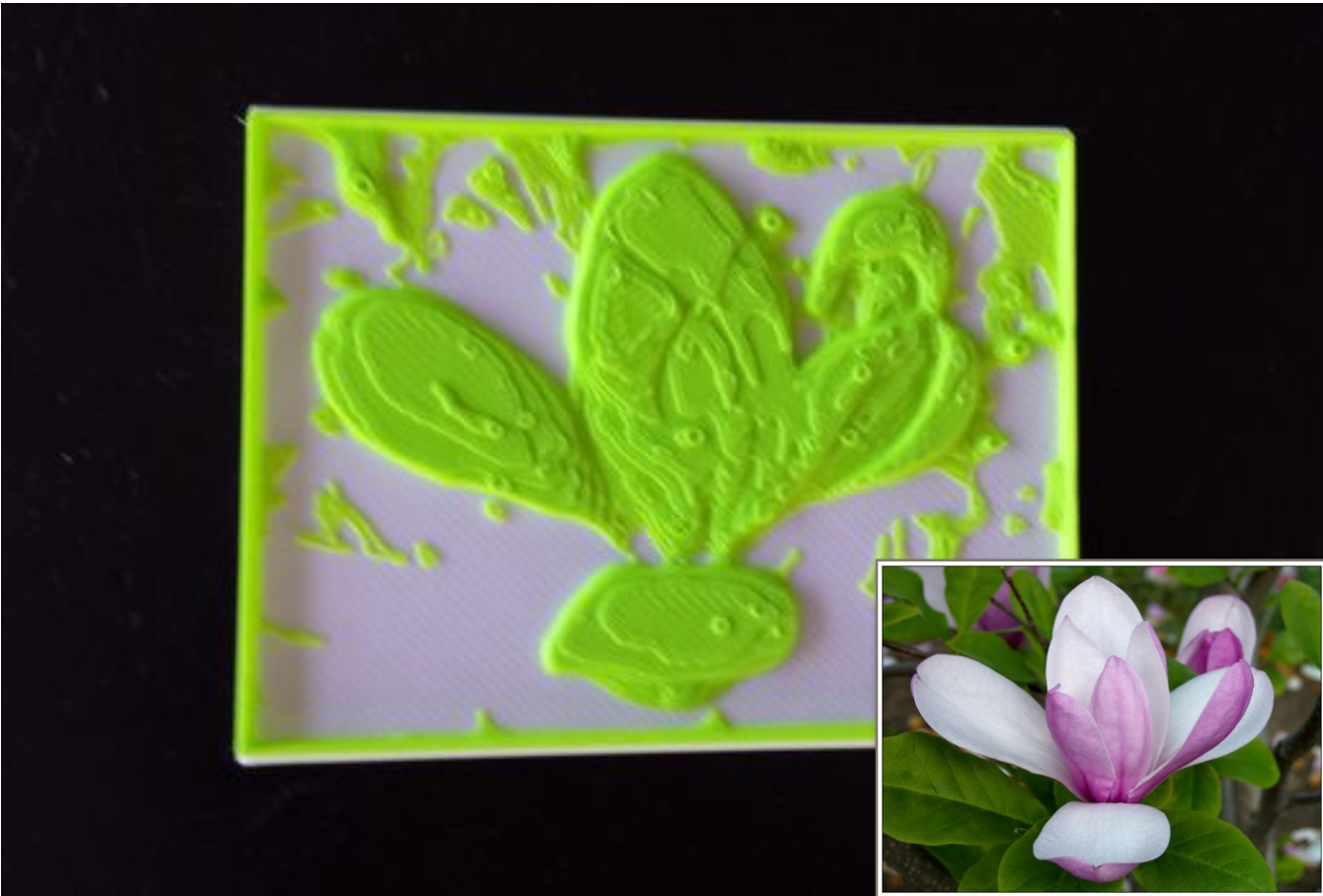 Dual Color 3d Printed Image : 4 Steps (with Pictures) - Instructables