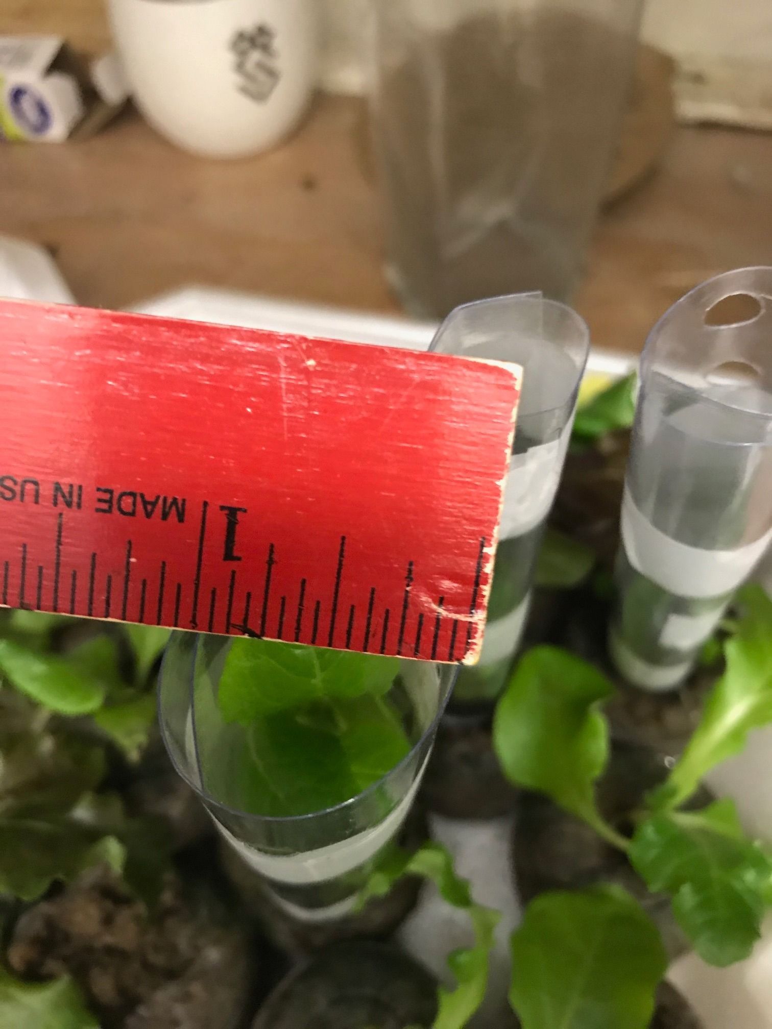 Tube Garden 3 Steps Instructables