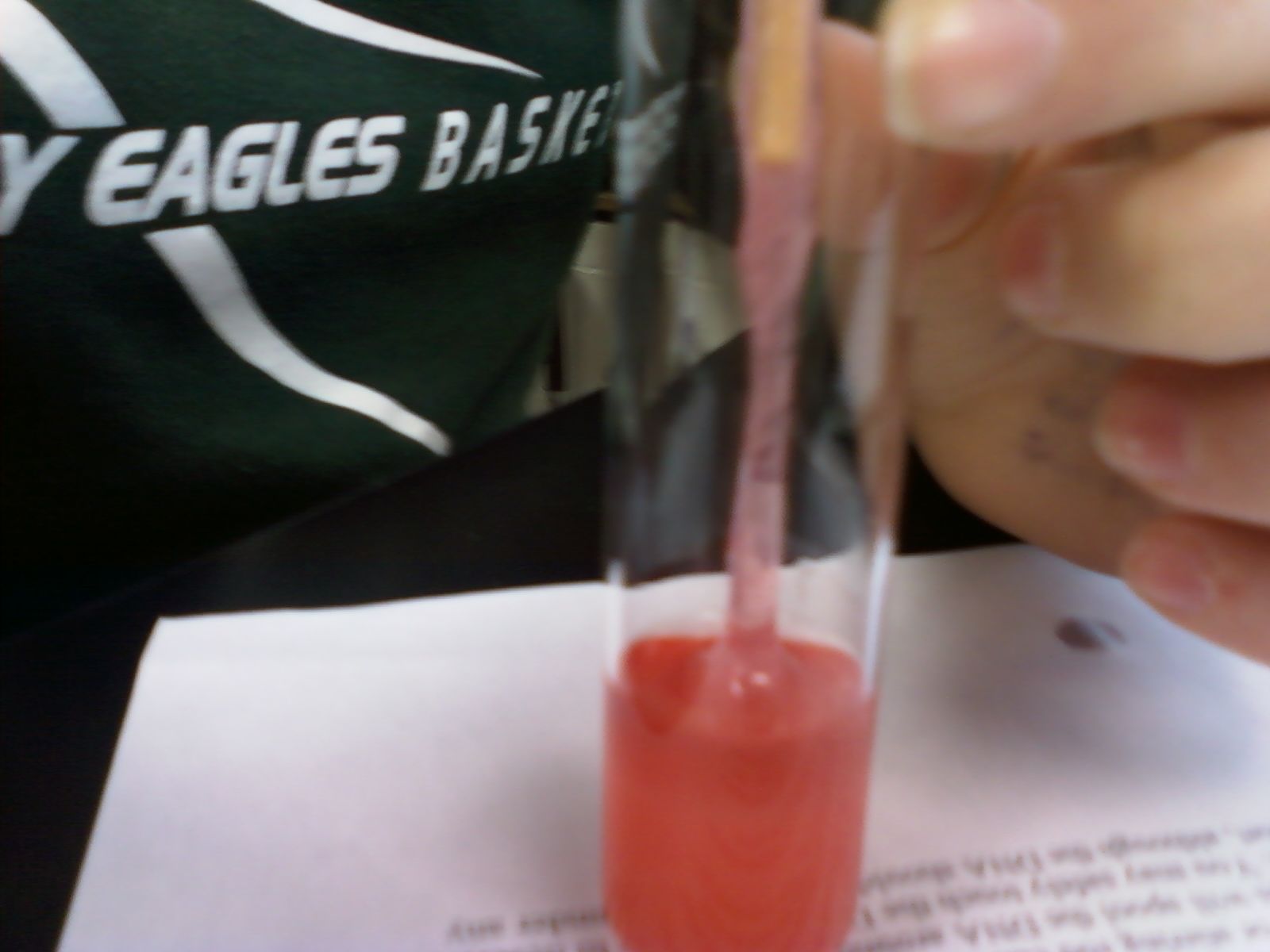 How to Extract DNA From a Strawberry