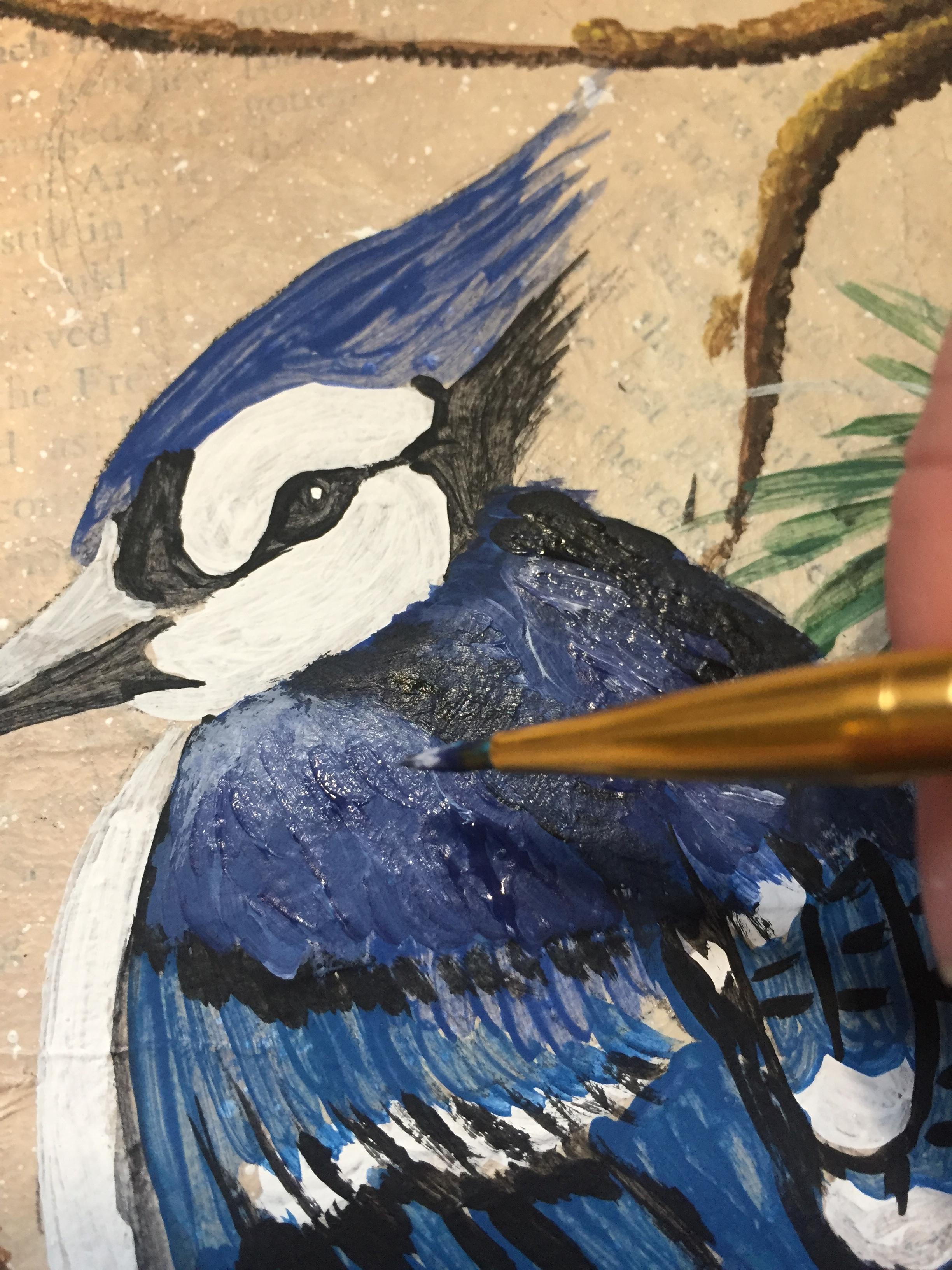 How to Paint a Blue Jay on a Branch. 13 Steps (with Pictures