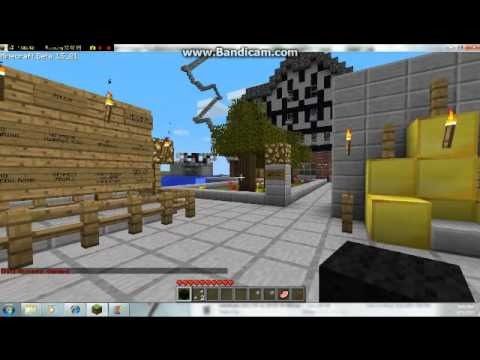 Omgwtfhax Minecraft Server 