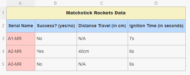 Matchsticks Rocket Data Form
