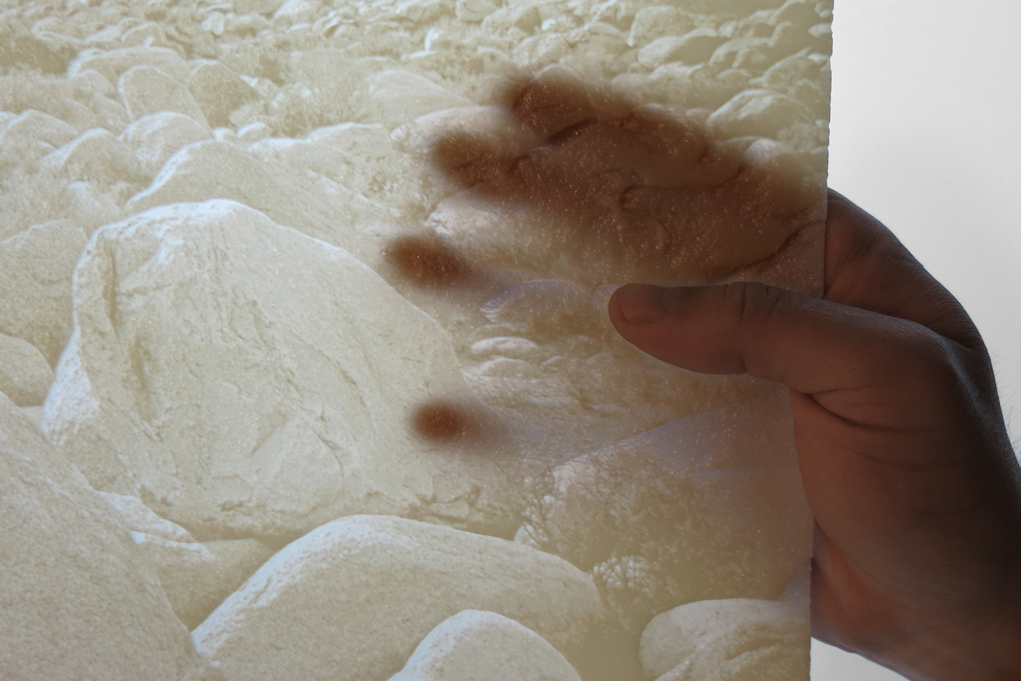 3D Printed Photograph