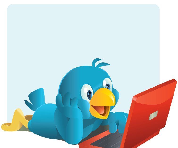  DEVELOP YOUR BUISNESS BY USING THE TWITTER FOLLOWERS