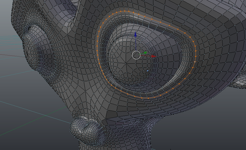 Edge Loop