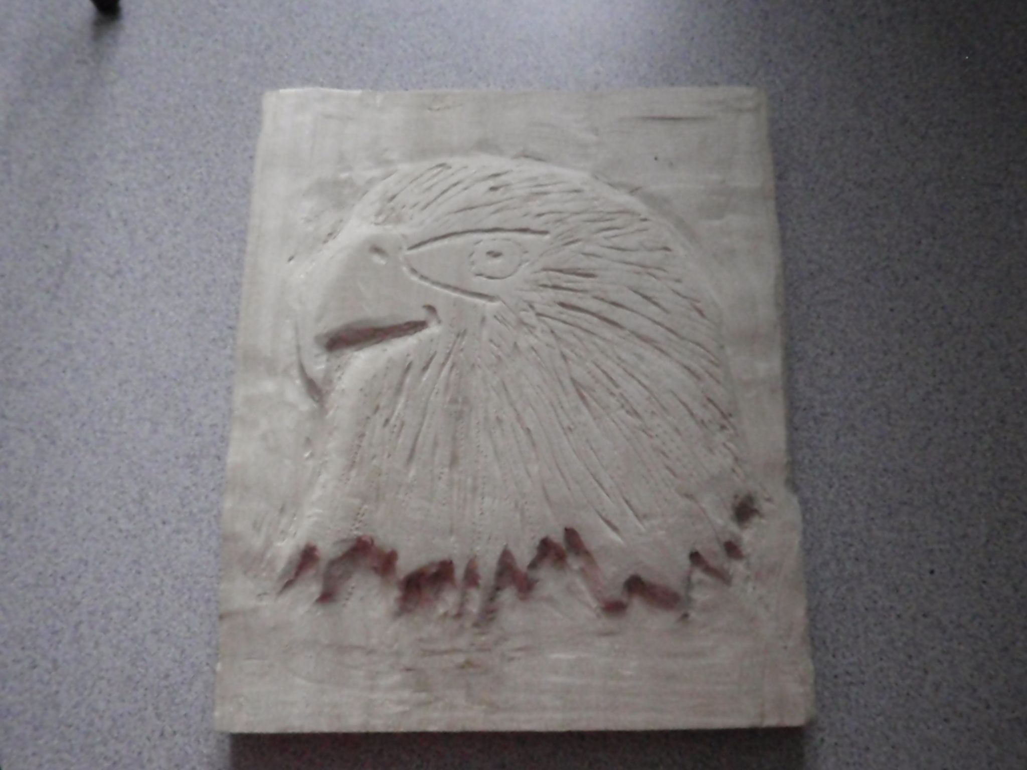 Wittli'n a Bald Eagle