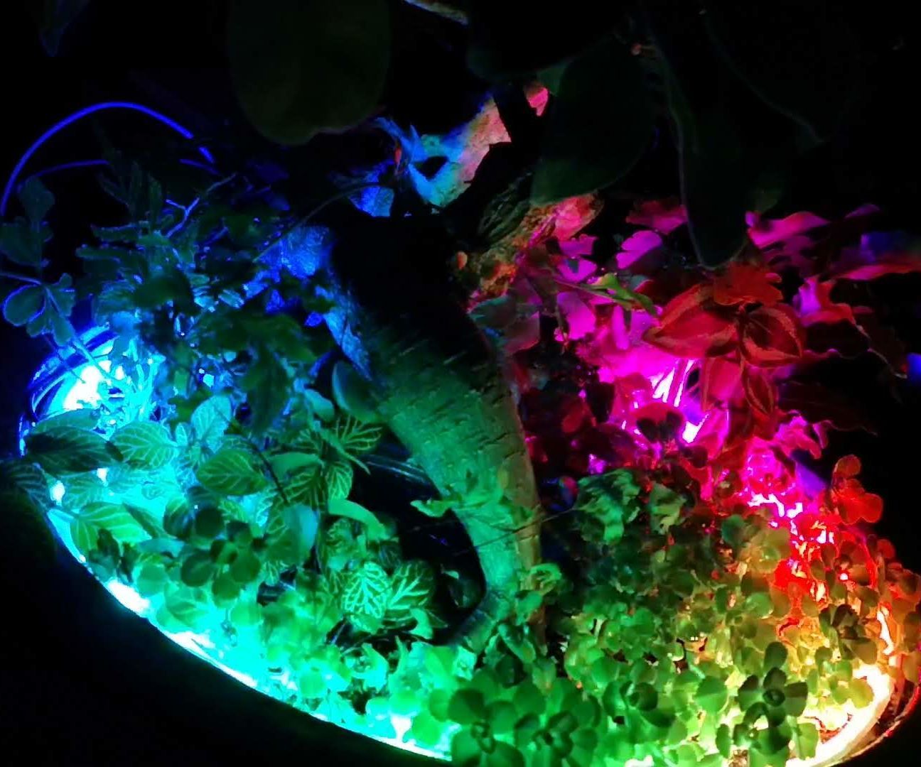 Interactive Magical Garden 