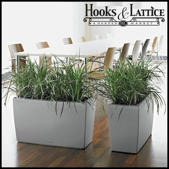 Best Planters for Home and Office Use