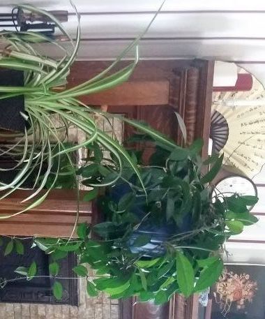 From Hymnal Racks to Plant Stands - an Exercise in Repurposing Architectural Wood Findings