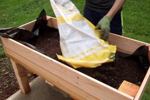 Fill With Dirt and Plant