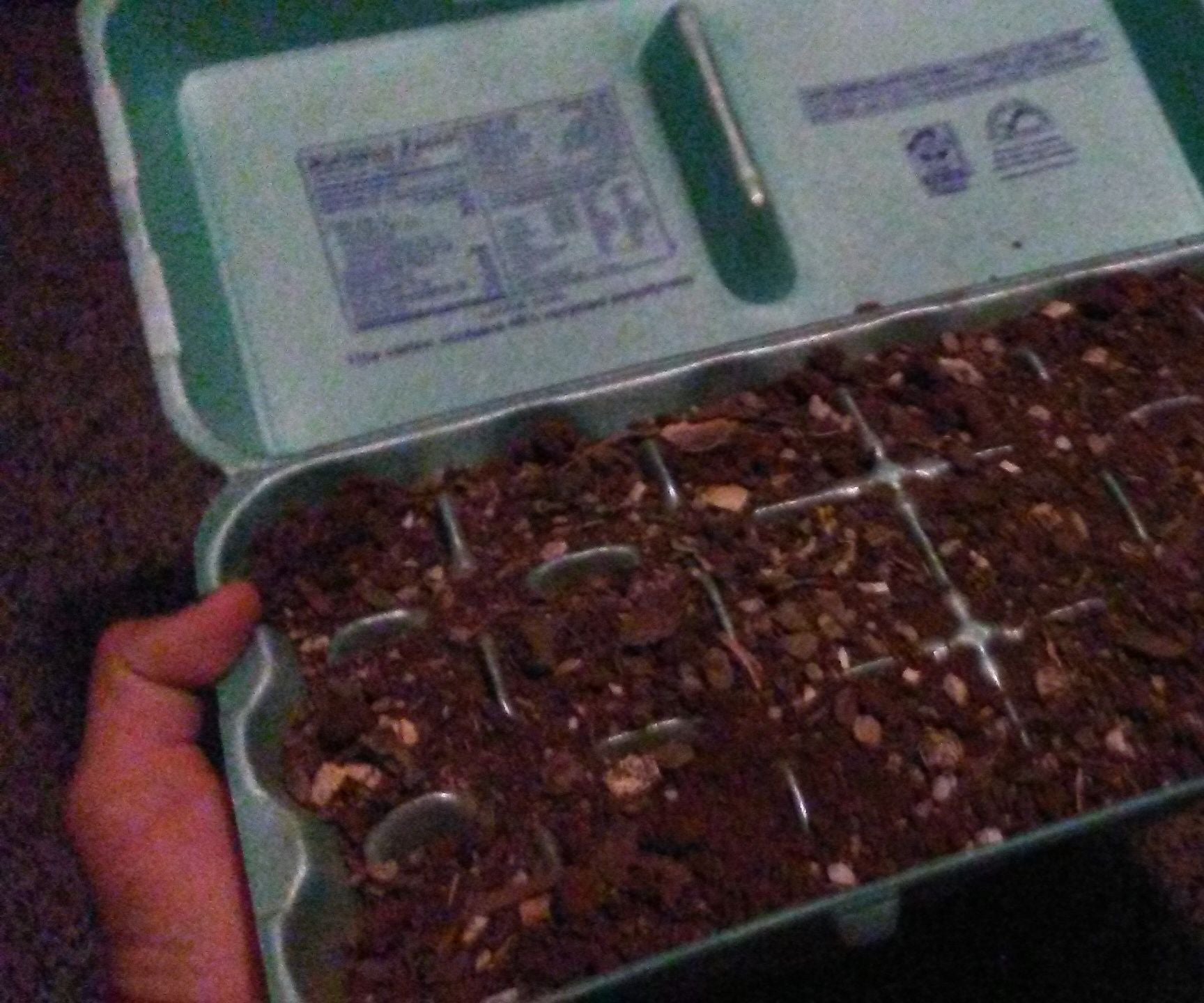 Egg Carton Garden Instructables