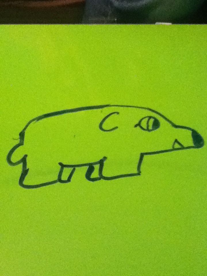 How to Draw a Polar Bear