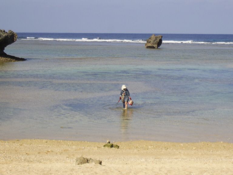 Guide to Beach Combing