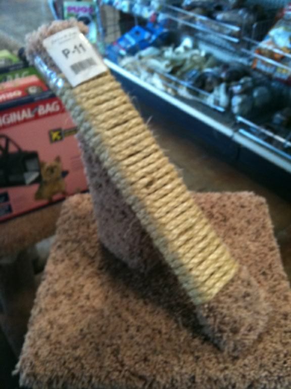 "Bad Kitty" Scratch Post