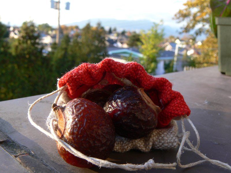 Clean & Green Laundry With Soapnuts