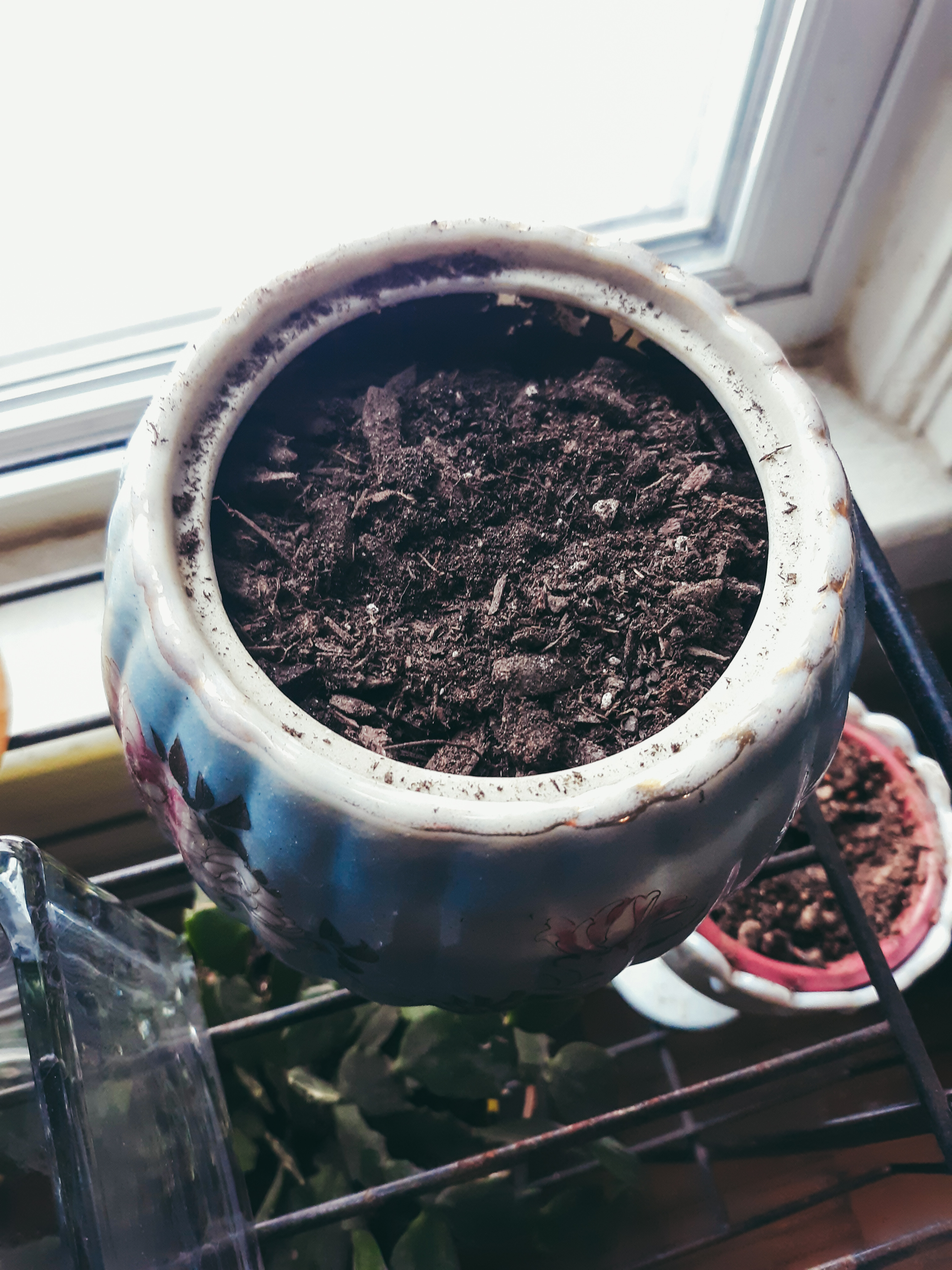 Reusing Tea Bags in the Garden 3 Steps Instructables