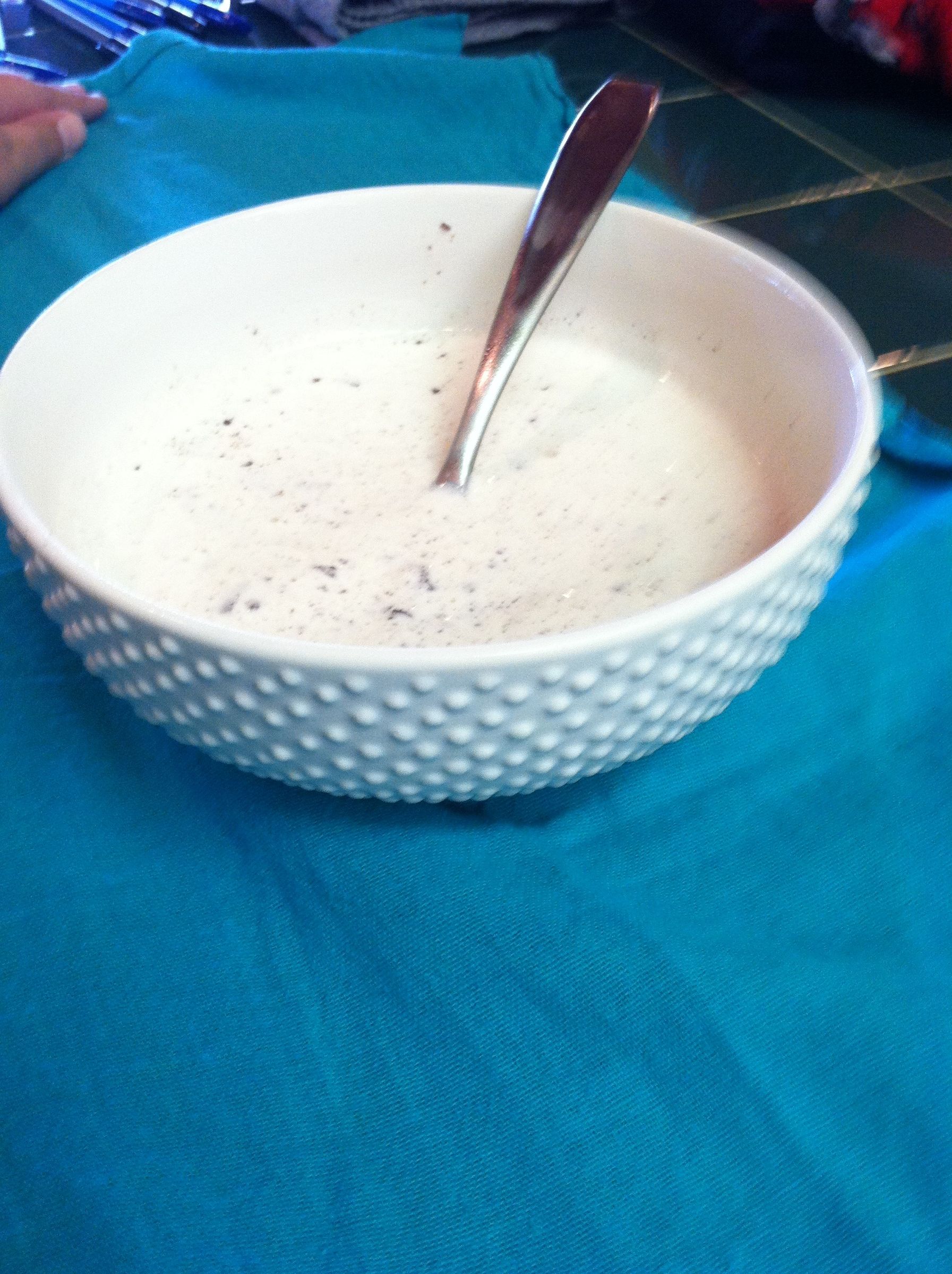 Fudge Mint Ice Cream