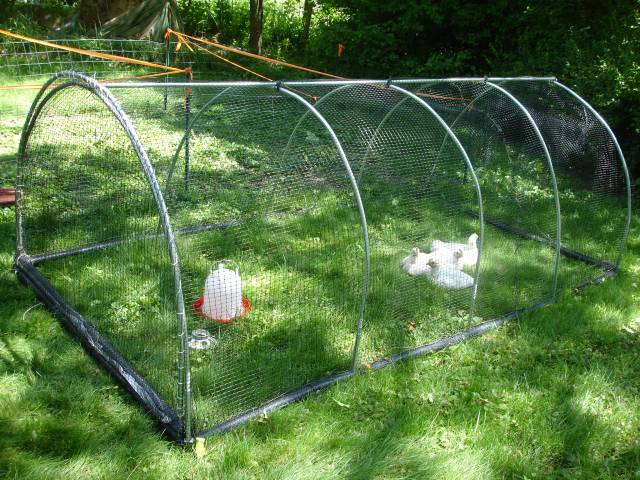 Building a Chicken Tractor, the LONG and DIFFICULT Way! (UPDATED!)