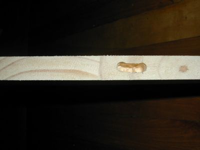 Mounts and Mounting
