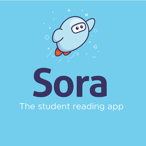 How to Use the Sora Library App