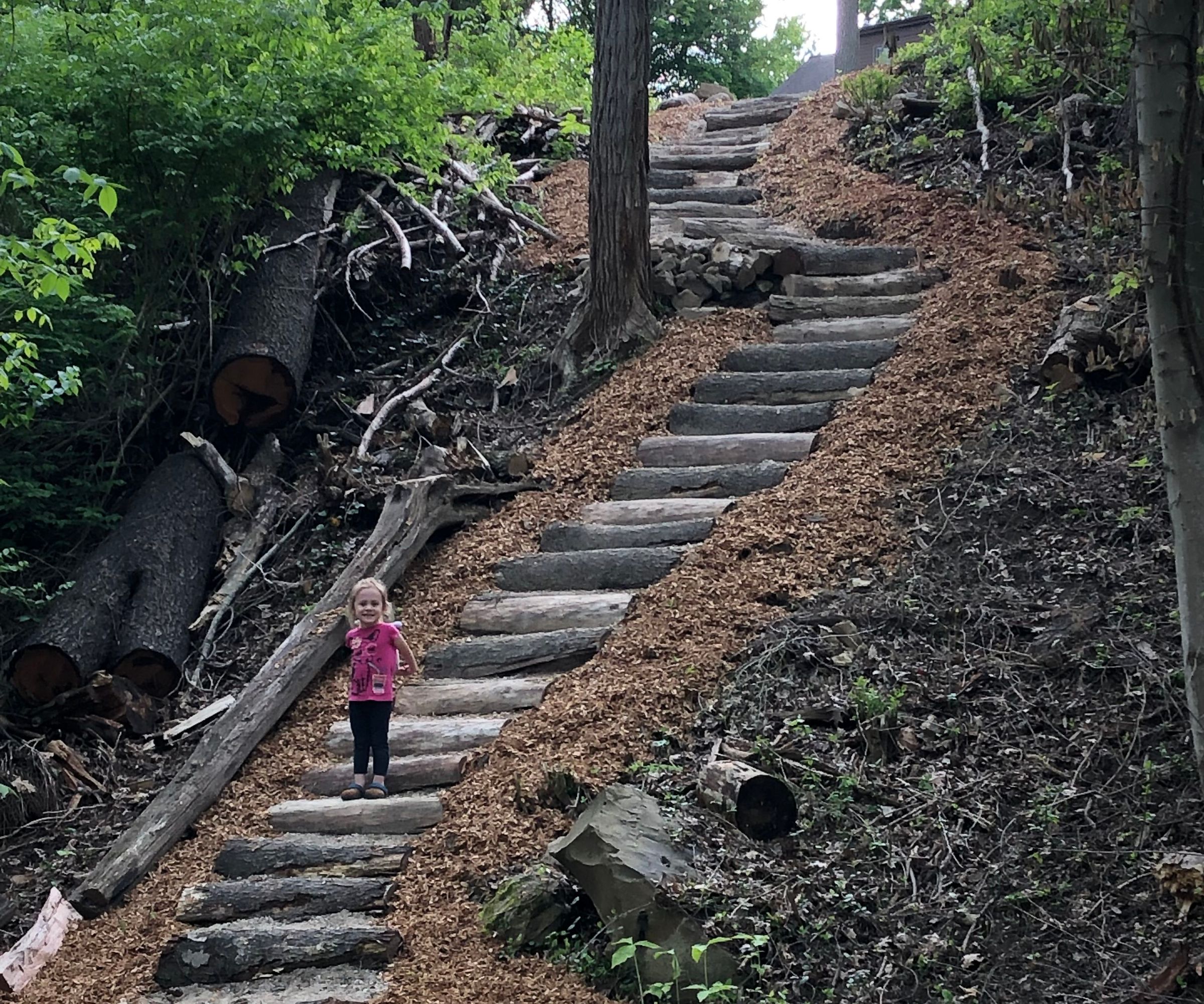Log Path Cut Into a Hill
