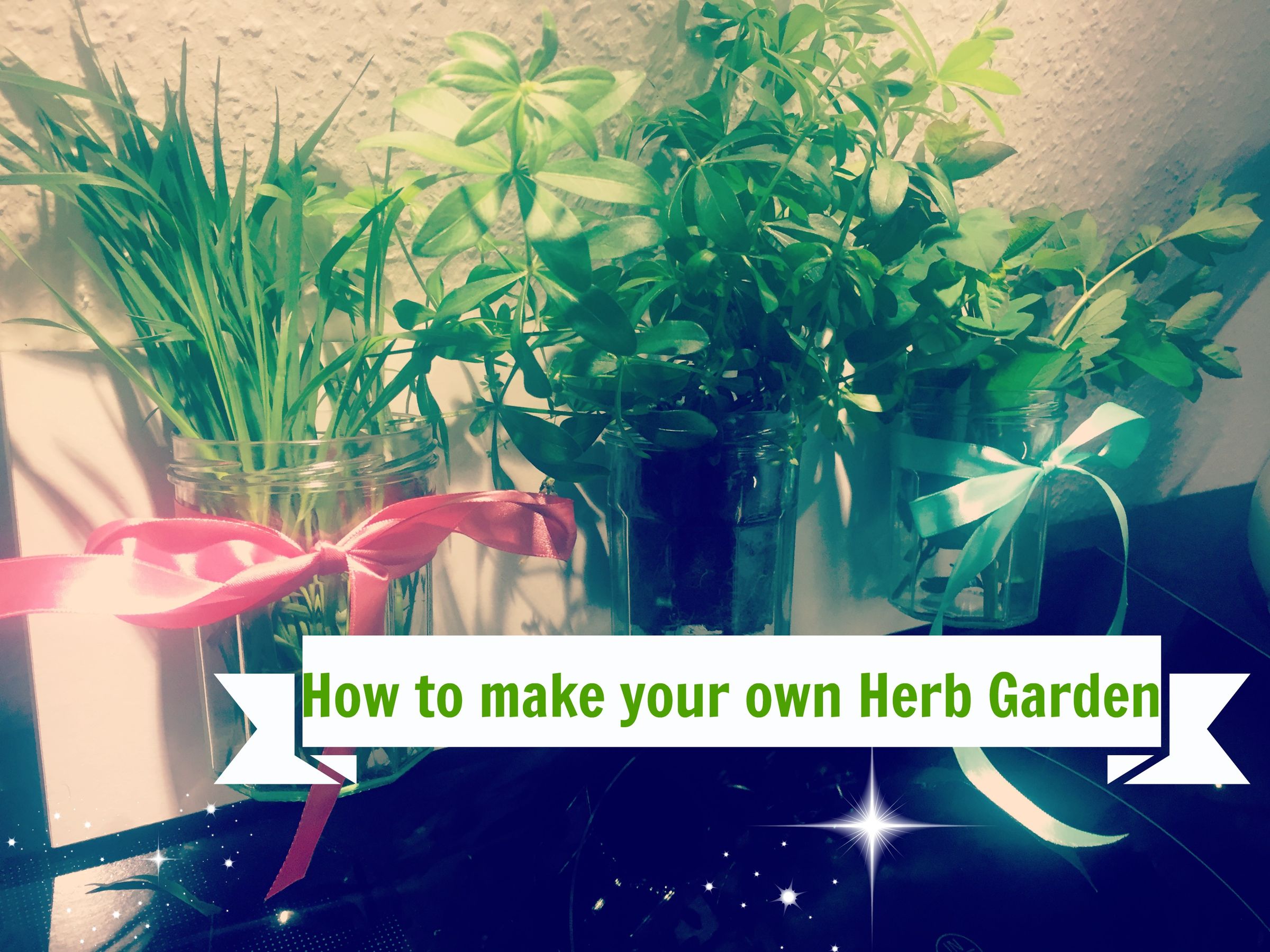 How to Make Your Own Herb Garden 10 Steps (with Pictures) Instructables