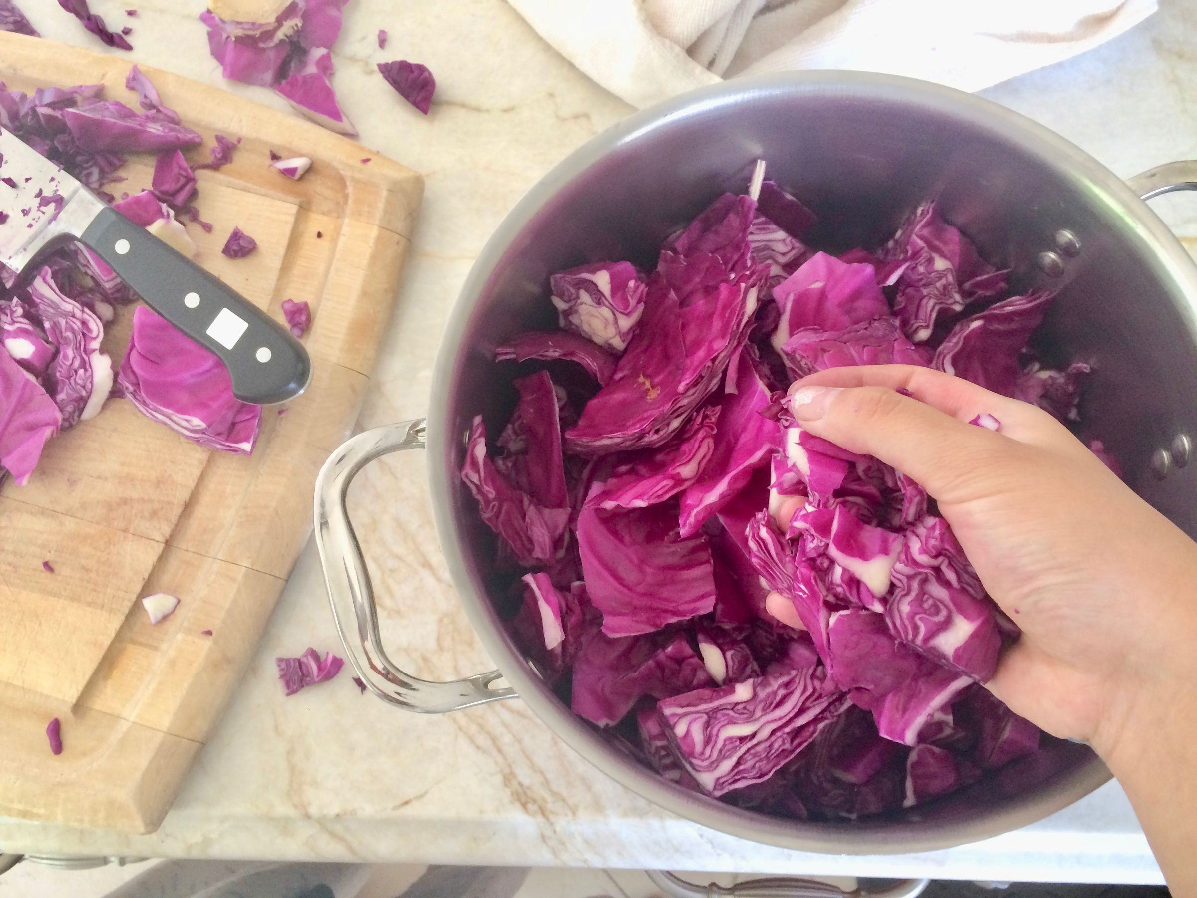 AllNatural Cabbage Dye 8 Steps (with Pictures) Instructables