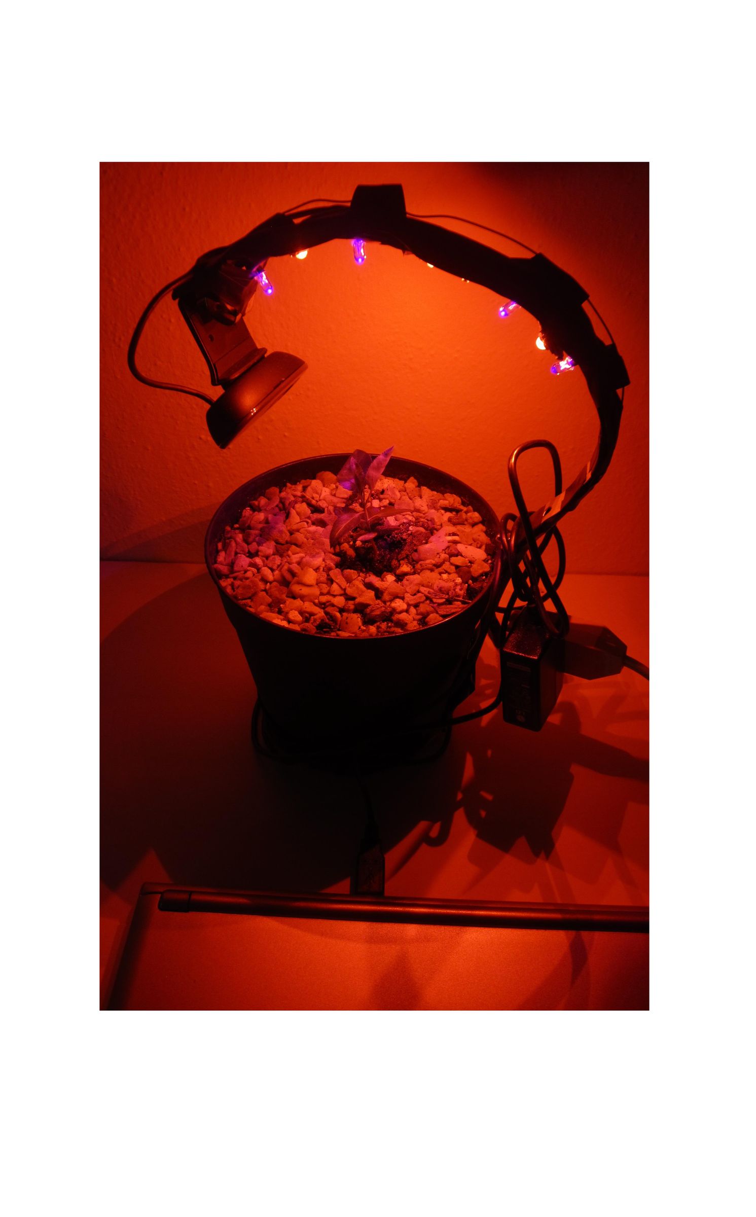 USB Powered LED Grow Light 2.0