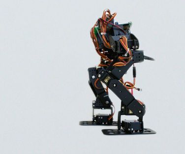 Make A Walking Robot