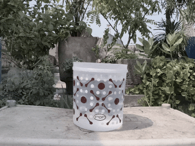 Eco-Friendly Visarjan (Immersion)