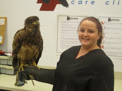 Moving Around With Bird on Hand