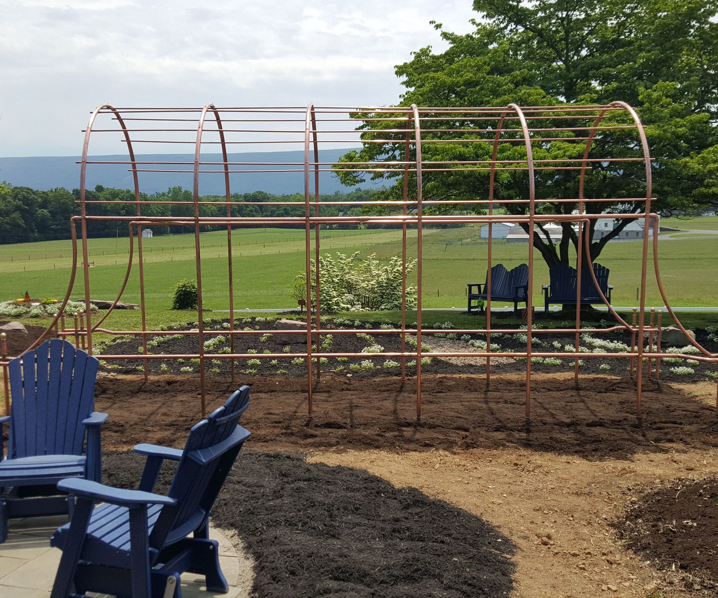 Pipe Trellis