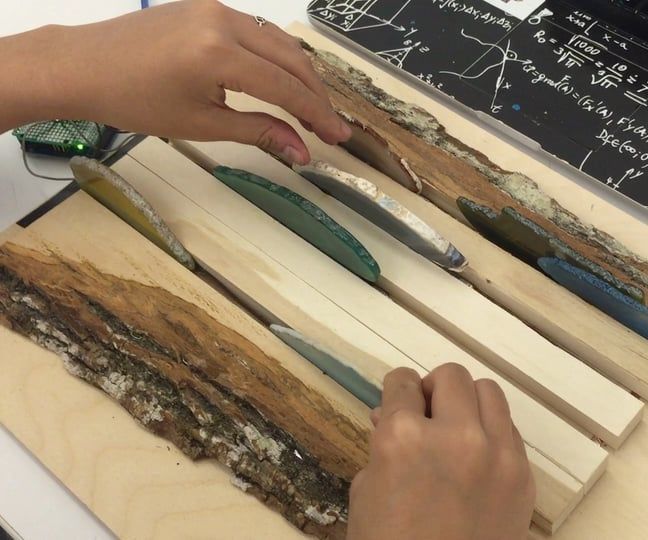 Mountain Electrocardiography