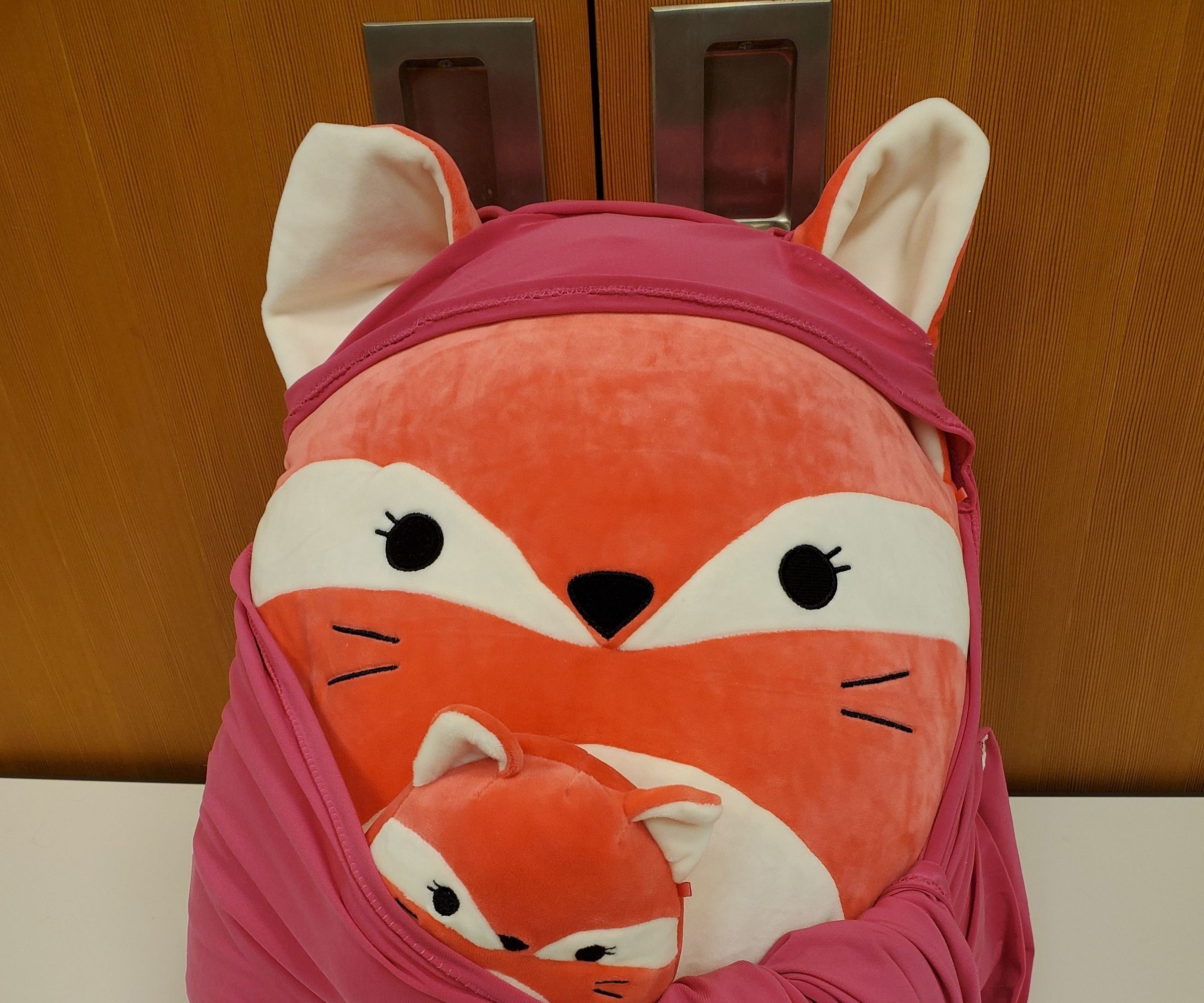 Calming Blanket + Squishable