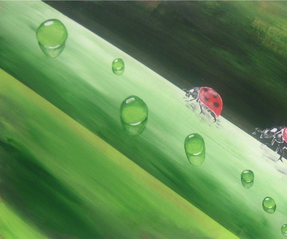 LUCKY LADYBUG
