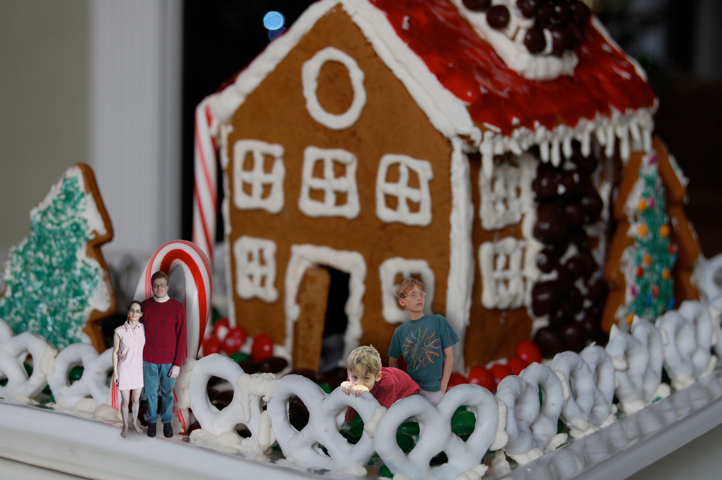 Gingerbread House Built for Living