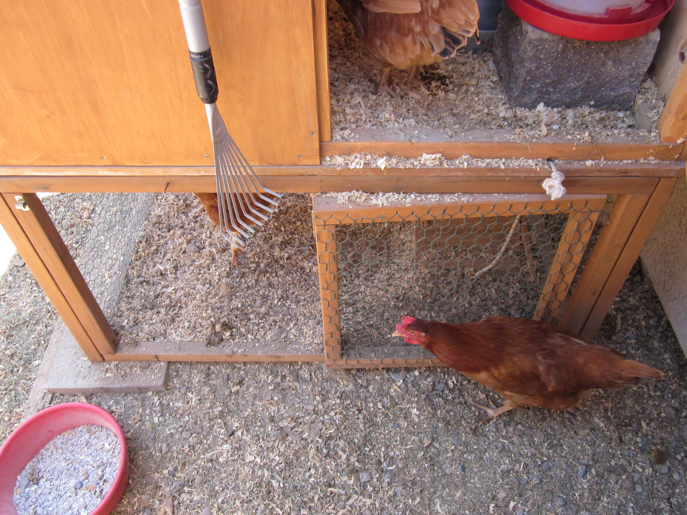 How to Make the Perfect Chicken Coop for Three Chickens! 4 Steps