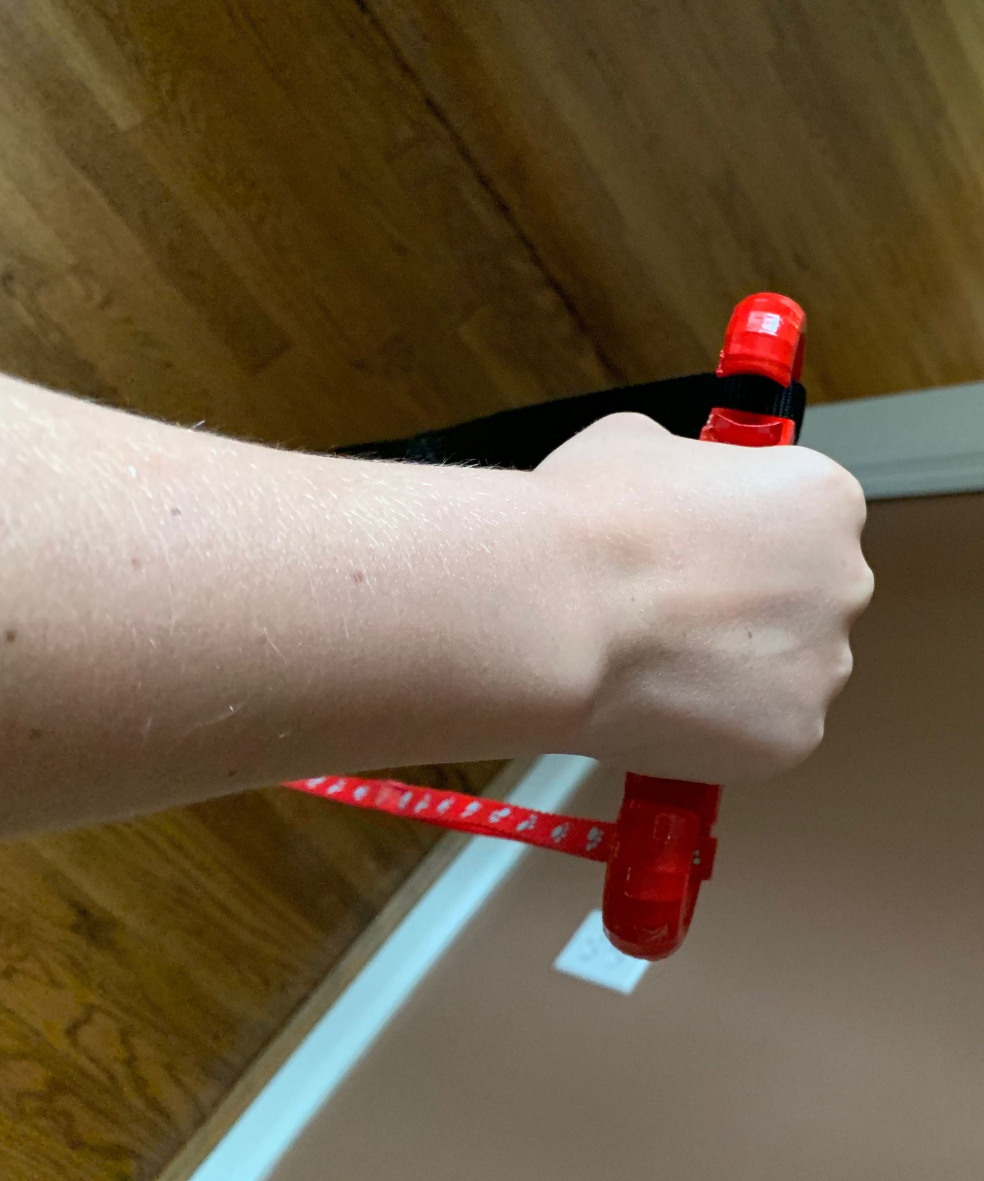 Double Dog Leash Holder