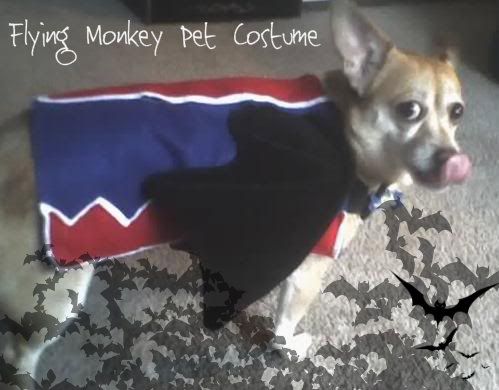 Flying Monkey From the Wizard OF Oz