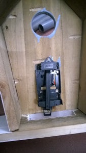 A View From the Back