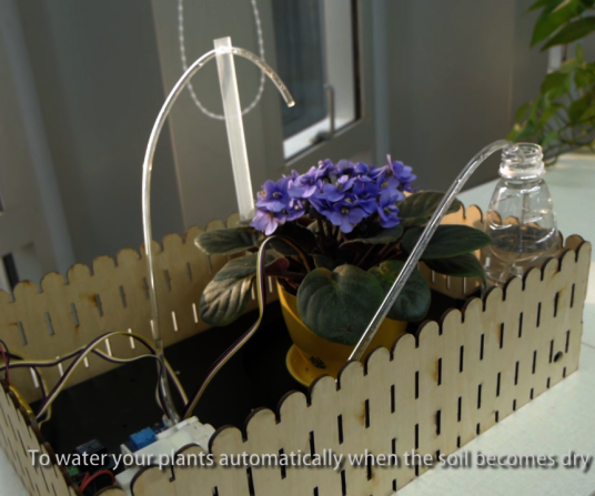 DIY an Automatic Plant Watering Device