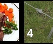 How to Make an A.I. Part 4 - The Homophone Problem