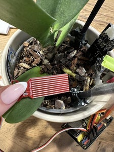 Connect the Components