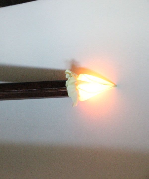 Flickering Torch Prop