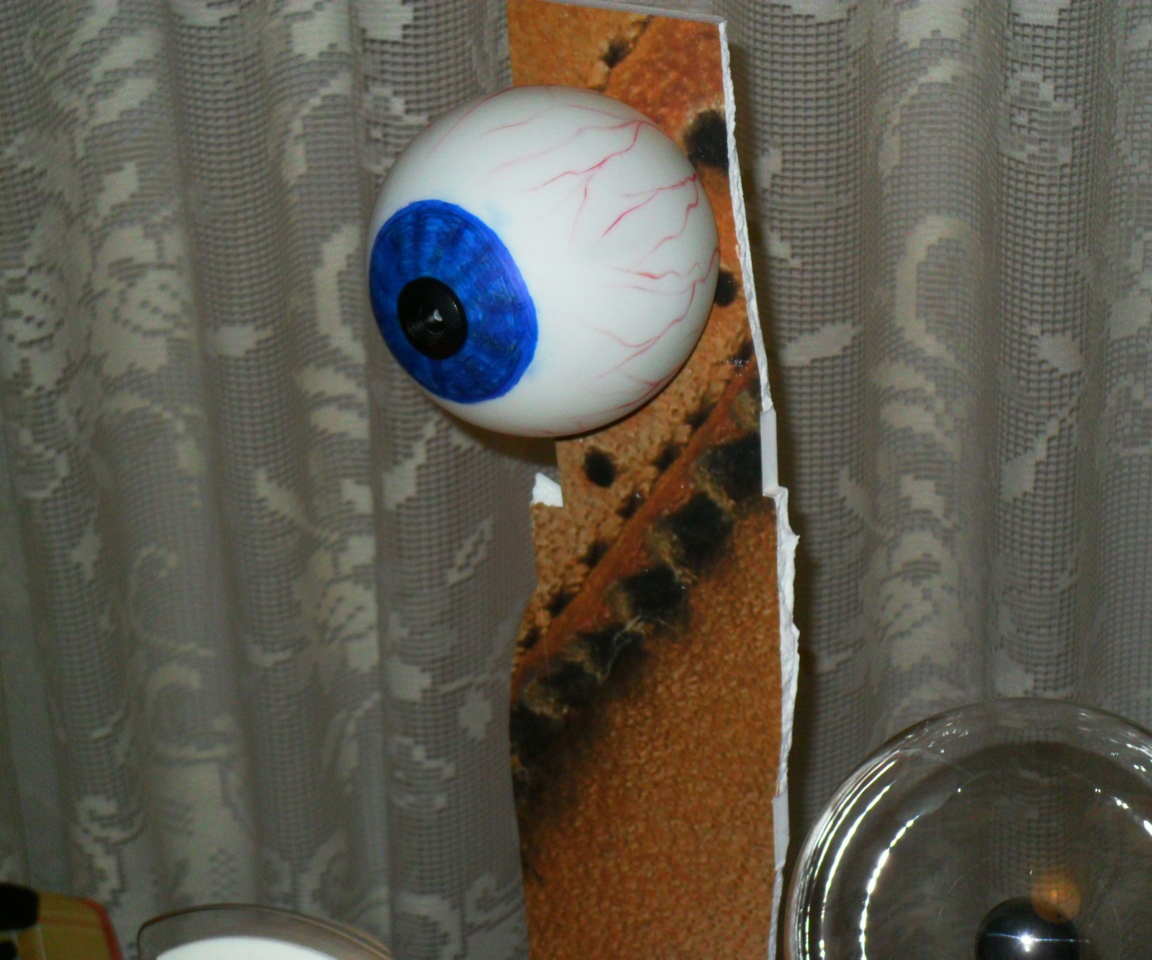 Eye Cam