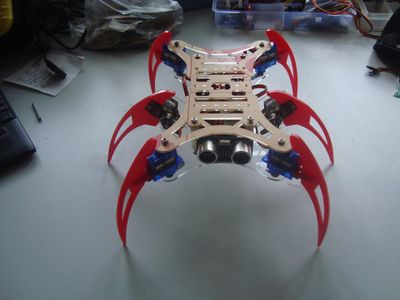 The Other Robot Project Using Acrilyc Frame